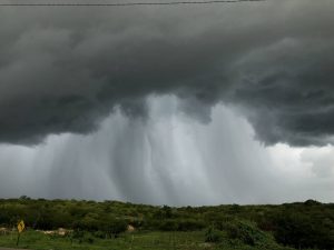 Read more about the article Água volta a cair no sertão: chove em 132 municípios do Ceará.