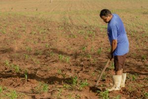 Read more about the article Economia do Ceará em 2020 tem queda menor que a do País