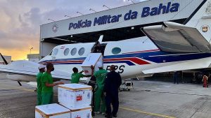 Read more about the article Avião com vacinas da Covid-19 bate em jumento em pista de aeródromo na Bahia