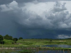 Read more about the article Chove em cerca de 12 municípios; confira a previsão para o fim de semana