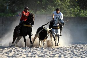 Read more about the article Comissão da Câmara aprova vaquejada como atividade desportiva