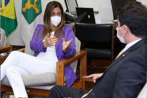 Read more about the article Deputado Júnior Mano recebe visita da  Ministra da Secretaria do Governo da Presidência