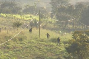 Read more about the article Polícia faz novo cerco para capturar Lázaro; buscas estão no décimo primeiro dia