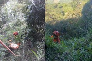 Read more about the article Corpo de agricultor é encontrado em abismo de 100 metros em mata de São Benedito