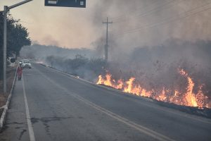 Read more about the article Incêndios em vegetação no Ceará aumentam no segundo semestre