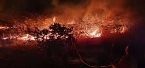 Read more about the article Ipueiras-CE: Corpo de Bombeiros é acionado para incêndio de grandes proporções em Pau D’arco