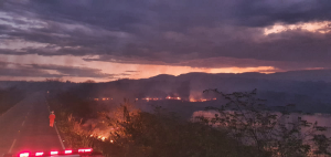 Read more about the article Corpo de Bombeiros debela incêndio em vegetação próximo a Agrovila em Ipueiras