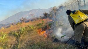 Read more about the article Incêndios são registrados em área de vegetação no município de Tauá