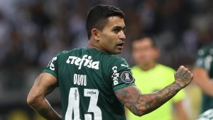 Read more about the article Palmeiras elimina o Atlético-MG e vai à decisão da Libertadores