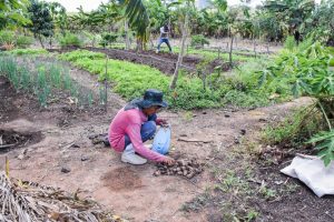 Read more about the article Prefeitura de Nova Russas convoca agricultores para regularizar título de terras