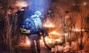 Read more about the article Trabalho de combate a Incêndio em Ipueiras ocorre por dois dias; Veja como foi