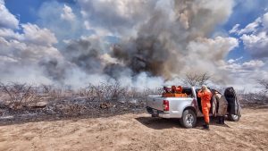 Read more about the article Bombeiros debelam incêndio no bairro Vamos Ver em Ipueiras