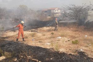 Read more about the article Incêndio florestal atinge o município de Nova Russas e coloca residências em perigo