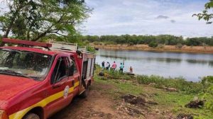 Read more about the article Para fugir de abelhas, homem pula em lago, se afoga e é atacado por piranhas