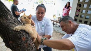 Read more about the article Dia D de vacinação contra raiva para cães e gatos acontece neste sábado (6) no Ceará