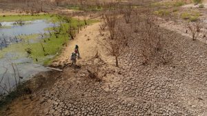 Read more about the article Por falta de chuvas, quatro cidades do Ceará estão em situação de emergência