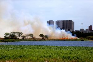 Read more about the article Combate a incêndio em parque de Fortaleza já chega a mais de 16 horas