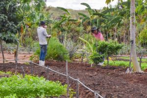 Read more about the article Agricultores recebem títulos de terras em Nova Russas