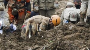 Read more about the article Tragédia em Petrópolis deixa mais de 100 mortos; 134 pessoas estão desaparecidas