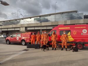 Read more about the article Ceará envia bombeiros, cães e equipamentos para Petrópolis