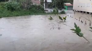 Read more about the article Várzea Alegre registra maior chuva do ano com 200 mm em 24 horas