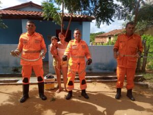 Read more about the article Corpo de Bombeiros resgatam duas cobras em uma residência em Ipueiras