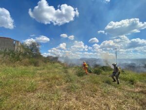 Read more about the article Corpo de Bombeiros controlam incêndio em vegetação em Nova Russas