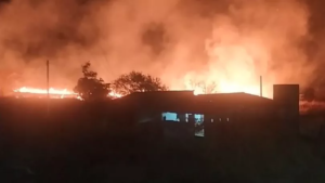 Read more about the article Incêndio atinge área de vegetação próxima a casas e assusta moradores de Santa Quitéria