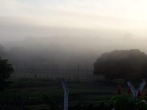 Read more about the article Ceará amanhece com chuvas e temperaturas abaixo dos 20 °C