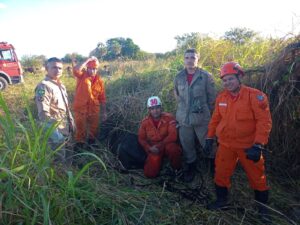 Read more about the article Bombeiros resgatam bezerro que caiu dentro de cacimba em Ipueiras