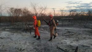 Read more about the article Bombeiros controlam cinco focos de incêndio entre Hidrolândia e Santa Quitéria