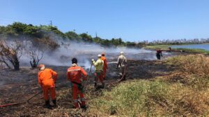 Read more about the article Incêndio atinge Parque do Cocó há mais de 3 horas