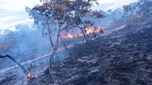 Read more about the article Agricultor morre carbonizado após colocar fogo em roçado no distrito de Nova Graça em Ipueiras