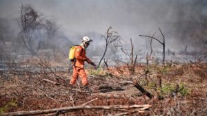 Read more about the article Ipueiras-CE: Imediações do bairro Carnaúbas é atingido por grande incêndio em vegetação