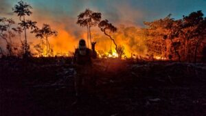 Read more about the article Ipueiras-CE: Corpo de Bombeiros apaga incêndio de grandes proporções em Buriti