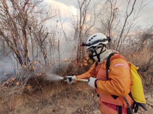 Read more about the article Bombeiros Militares de Ipueiras atenderam 91 ocorrências de incêndio em vegetação em 2022