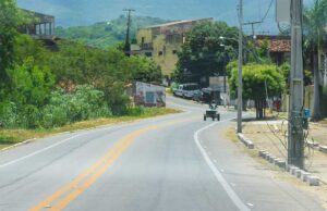 Read more about the article Animal solto em via provoca acidente de trânsito em Ipueiras