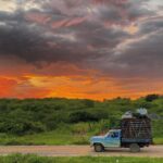 Quadra chuvosa do Ceará em 2025 fica dentro da média, mas é a pior em 8 anos