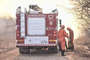 Read more about the article Alta: Corpo de Bombeiros já apagou mais de 400 incêndios em vegetação em 2023