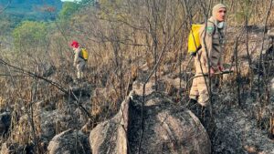 Read more about the article Bombeiros apagam incêndio em vegetação na zona rural de Ipueiras