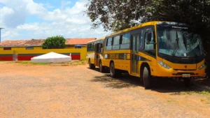 Read more about the article Menino de 4 anos é esquecido dentro de ônibus escolar por mais de 4 horas em Ararendá