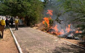 Read more about the article Bombeiros apagam incêndio nas proximidades do Parque da Cidade em Ipueiras