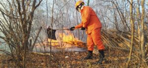 Read more about the article Bombeiros voltam a debelar incêndio em vegetação em Santa Quitéria