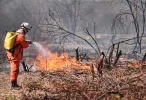 Read more about the article Mais de 2 mil incêndios em vegetação foram registrados no Ceará de janeiro a agosto