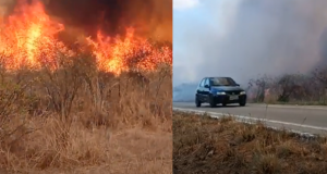 Read more about the article Incêndio em vegetação atinge grande área na localidade de Pau D’Arco em Ipueiras