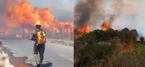 Read more about the article Incêndio de grandes proporções em vegetação em Poranga assusta moradores