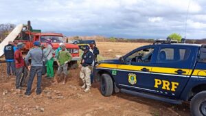 Read more about the article Sete pessoas são resgatadas de trabalho análogo à escravidão em Pacujá