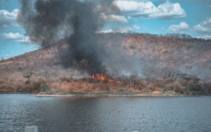 Read more about the article Incêndio em vegetação atinge as margens do Açude Cadeias em Ipueiras