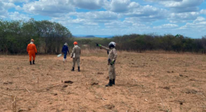 Read more about the article Homem é encontrado morto após se perder em vegetação em Nova Russas