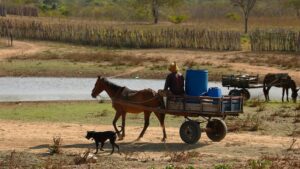 Read more about the article 5 cidades do Ceará têm abastecimento de água garantido só até junho de 2024